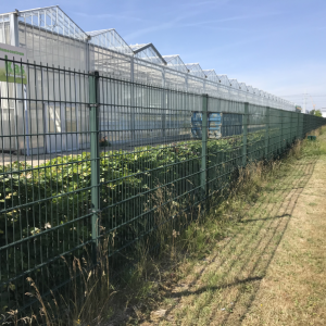 Welded Wire Fencing