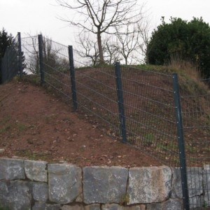 Welded Wire Fencing